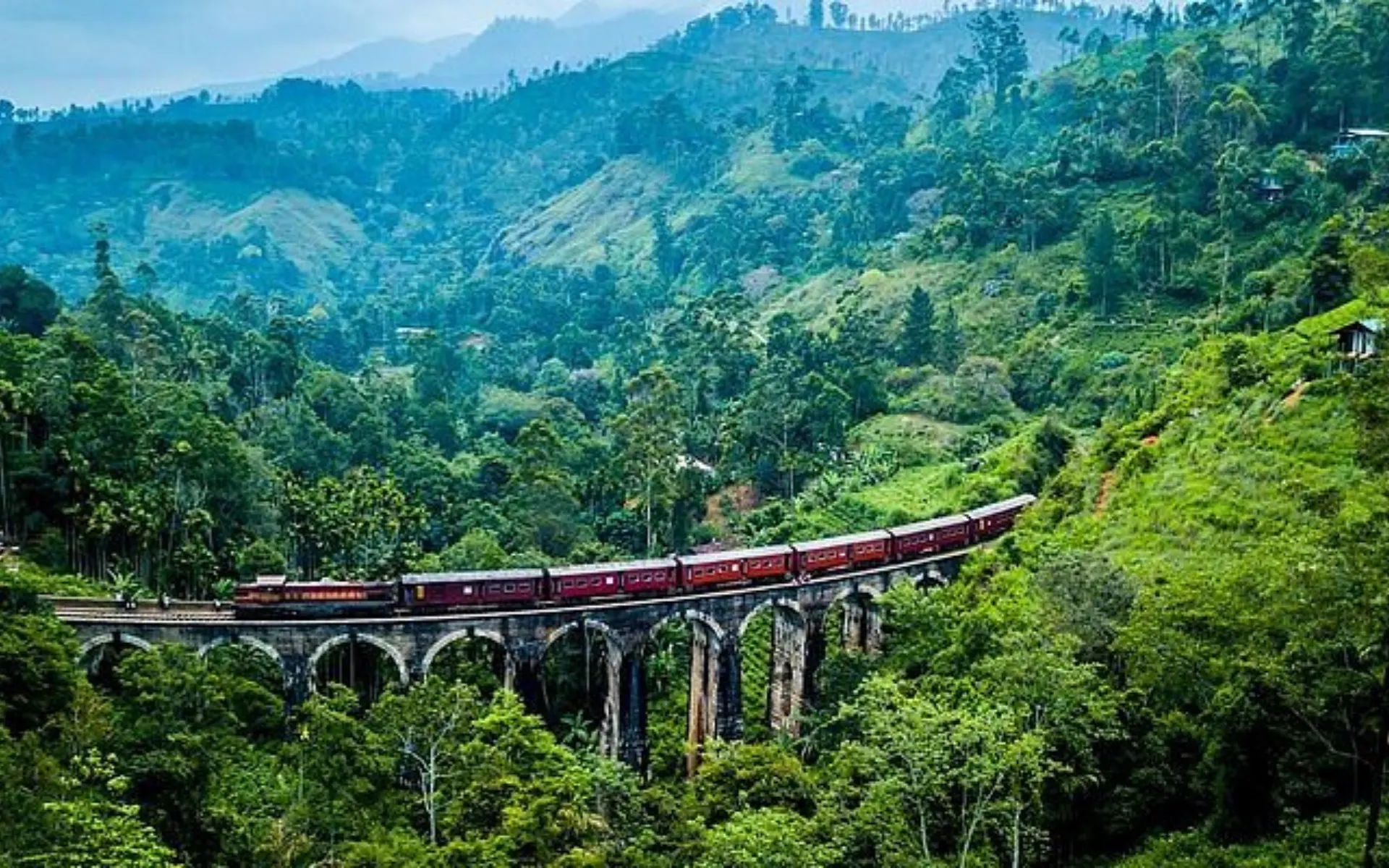Kandy & Nuwara Eliya